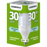Лампа светодиодная IEK GENERICA HP 30Вт 230В 6500К E27 LL-HP-30-230-65-E27-G
